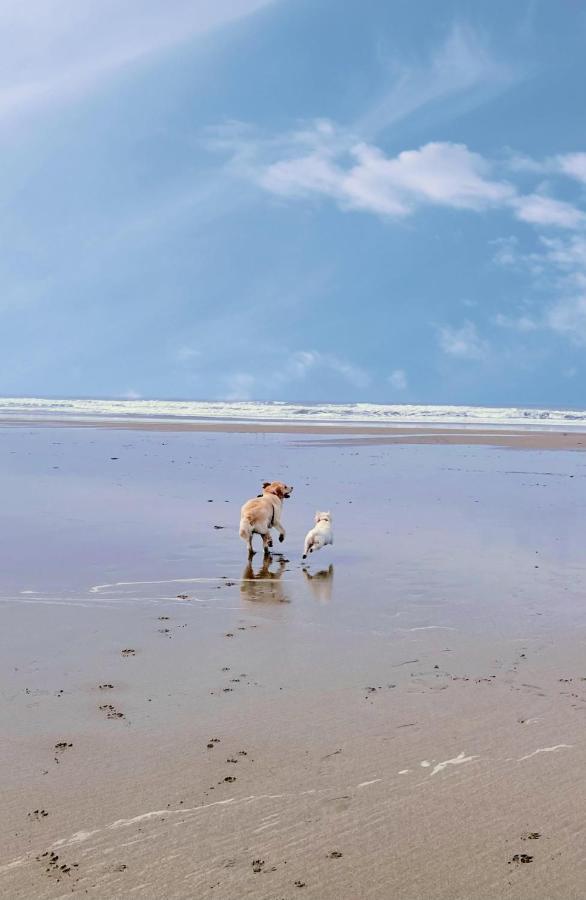 Bude Holiday Home Esterno foto
